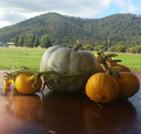 Mount Gnomon Farm - Restaurant Gold Coast