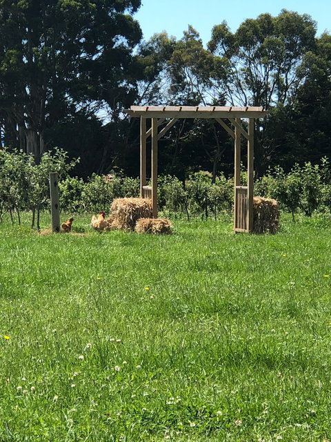 Mount Gnomon Farm - Restaurant Gold Coast 4