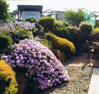 Pipers River Tea House and Crafts - Restaurant Gold Coast