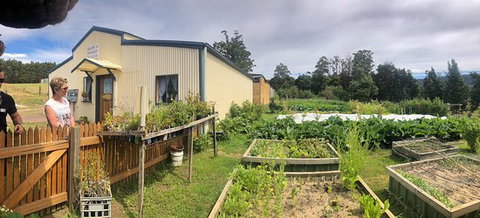 Springfield Tea Room - Restaurant Gold Coast 0