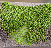 Wattle Hill Olives - Restaurant Gold Coast