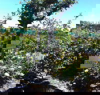 Roworth Rose Nursery - Restaurant Gold Coast