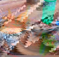 Nando's Ellenbrook - Restaurant Gold Coast