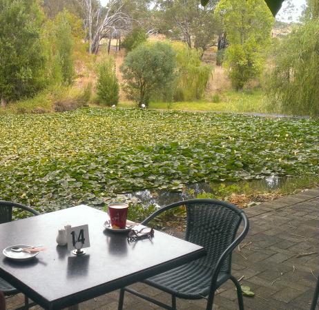  Restaurant Gold Coast