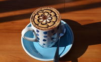 Bayside Barista