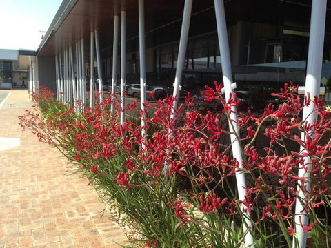 BiteZ - Restaurant Gold Coast 0