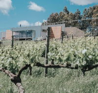 Green Door Winery  Cafe - Restaurant Gold Coast