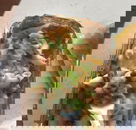 Putt Putts Pasta - Restaurant Gold Coast