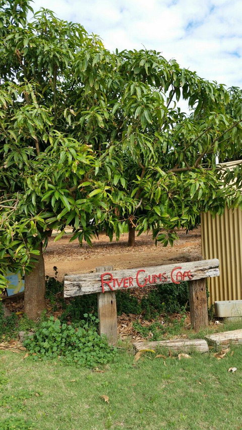 River Gums Cafe - Restaurant Gold Coast 2