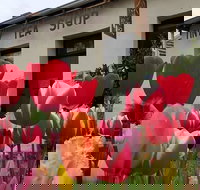 Tiny Tea Shop - Restaurant Gold Coast