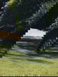 Preston Beach Takeaway and Preston Beach Restaurant Gold Coast Restaurant Gold Coast