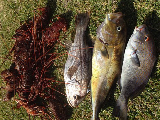 Ledge Point WA Restaurant Gold Coast