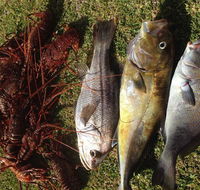 Ledge Point Country Club - Restaurant Gold Coast