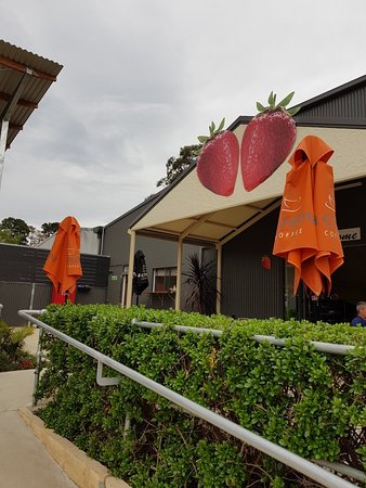 Green Valley Strawberries - Restaurant Gold Coast 0