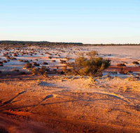 Mozie's Truckstop  Diner - Restaurant Gold Coast