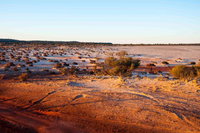 Mozie's Truckstop  Diner