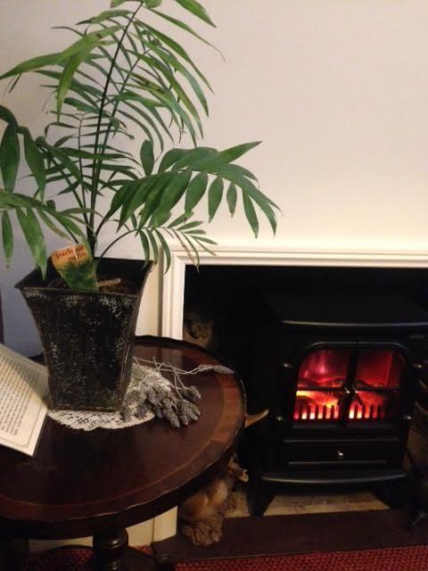 Palm Court Cafe Mannum SA - Restaurant Gold Coast 8