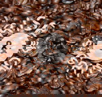 Qahwa Espresso Bar and Coffee Roasters - Restaurant Gold Coast