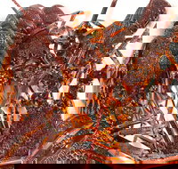 Sails Restaurant - Restaurant Gold Coast