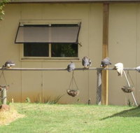 Sandy Grove - Restaurant Gold Coast