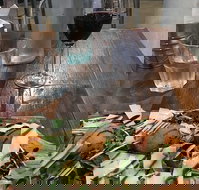 Ciao Bella - Restaurant Gold Coast