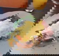 Stock Bar  Grill - Restaurant Gold Coast