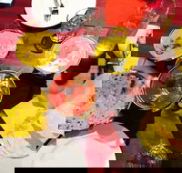 Gatton Indian Restaurant - Restaurant Gold Coast