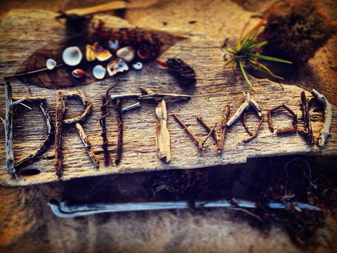 Driftwood Cafe - Restaurant Gold Coast 0