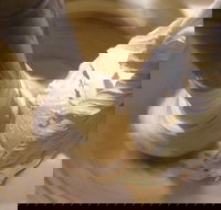 Gelato Classico Noosa Italian Cafe - Restaurant Gold Coast