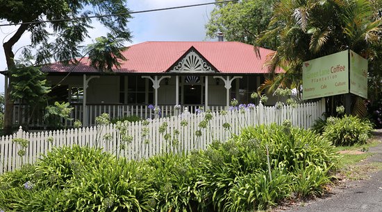 Green Lane Coffee Plantation Tamborine Mountain