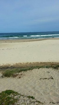 Skullery Kitchen  Bar