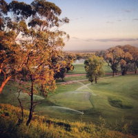 Woods  Irons Restaurant