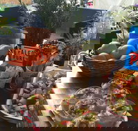 Island fruit Barn - Restaurant Gold Coast