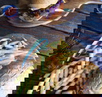 O'Reilly's Rainforest Retreat Dining Room - Restaurant Gold Coast