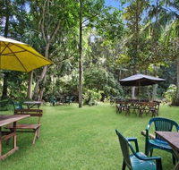 Rainforest - Restaurant Gold Coast