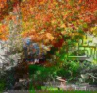 The Woods Ravensbourne - Restaurant Gold Coast