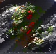 8days Cafe - Restaurant Gold Coast