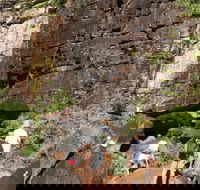3-Day Kakadu 4WD Camping Safari from Darwin - Restaurant Gold Coast