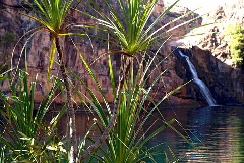3-Day Kakadu 4WD Camping Safari From Darwin - Restaurant Gold Coast 2