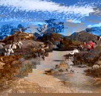 The Big Wave Rock Private Day Tour - Restaurant Gold Coast