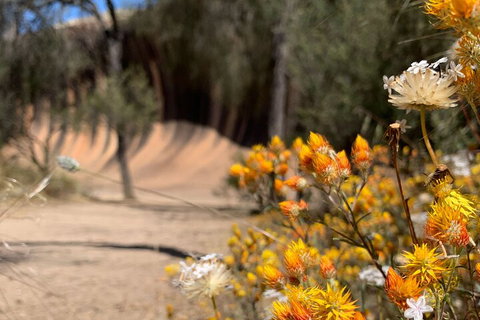 The Big Wave Rock (Private) Day Tour - Restaurant Gold Coast 3