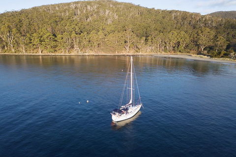 Twilight Sail Bruny Island - Restaurant Gold Coast 3