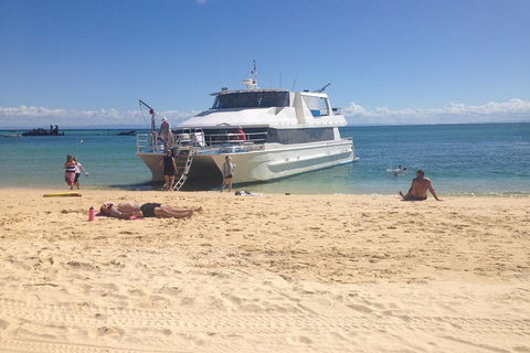 Cruise In Moreton Bay Marine Park And Moreton Island - Restaurant Gold Coast 4