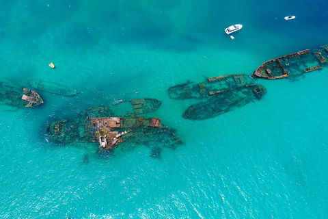 Private Tangalooma Wrecks Tour - Restaurant Gold Coast 0