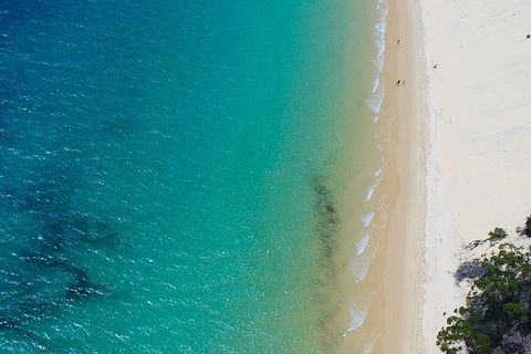 Private Tangalooma Wrecks Tour - Restaurant Gold Coast 1