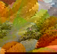 Private Half Day Tour Exclusive World Heritage Rainforest and Waterfall Tour from Cairns - Restaurant Gold Coast