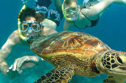 8-Day Cairns Tour: Great Barrier Reef, Kuranda, Daintree Rainforest - Restaurant Gold Coast 1