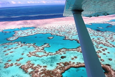8-Day Cairns Tour: Great Barrier Reef, Kuranda, Daintree Rainforest - Restaurant Gold Coast 2