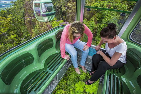 8-Day Cairns Tour: Great Barrier Reef, Kuranda, Daintree Rainforest - Restaurant Gold Coast 3
