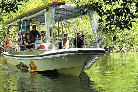 8-Day Cairns Tour: Great Barrier Reef, Kuranda, Daintree Rainforest - Restaurant Gold Coast 5